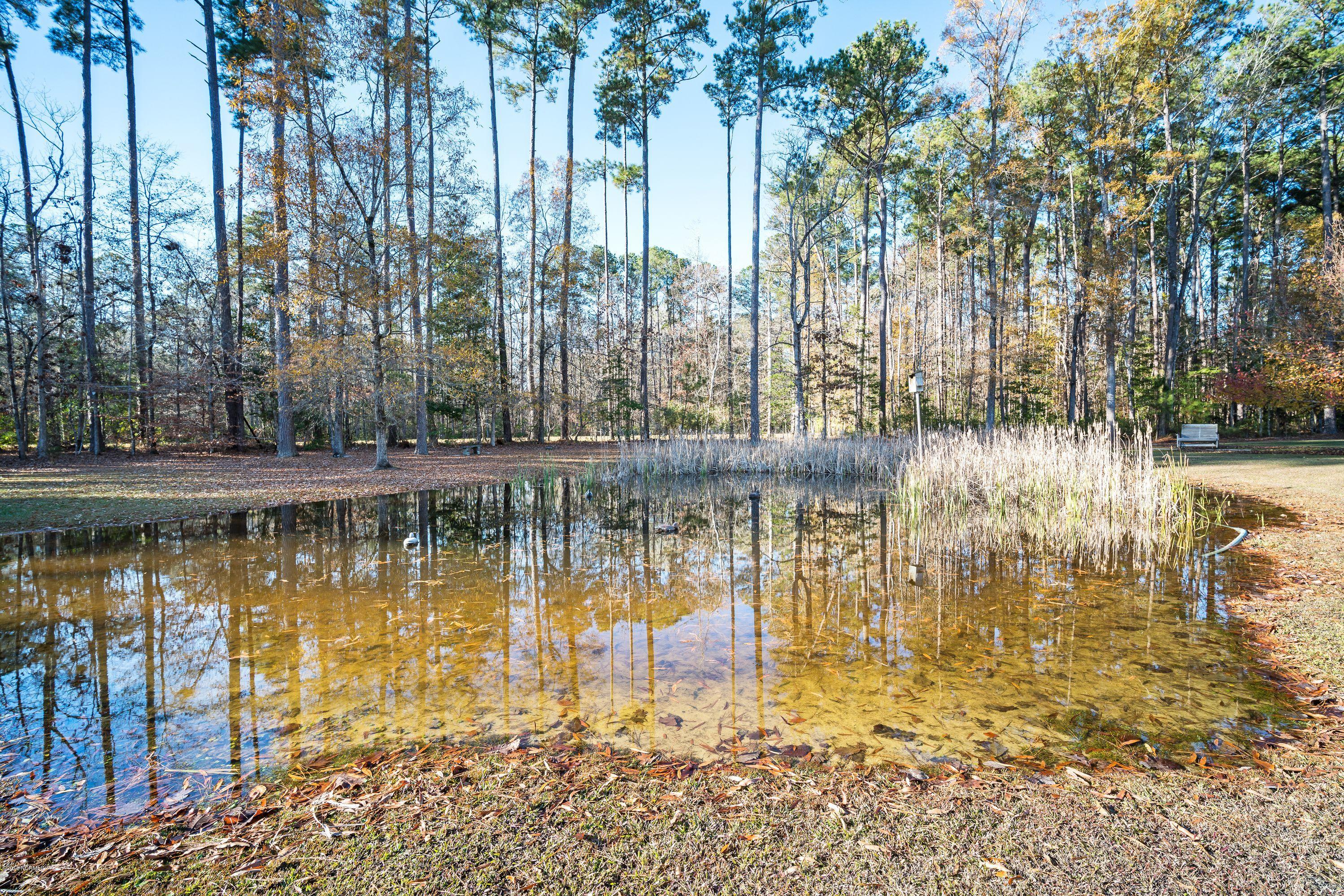 4810 Merrimon Road Beaufort, NC 28516 - Photo 36 of 37 4810 Merrimon Rd - Back YArd & Pond
