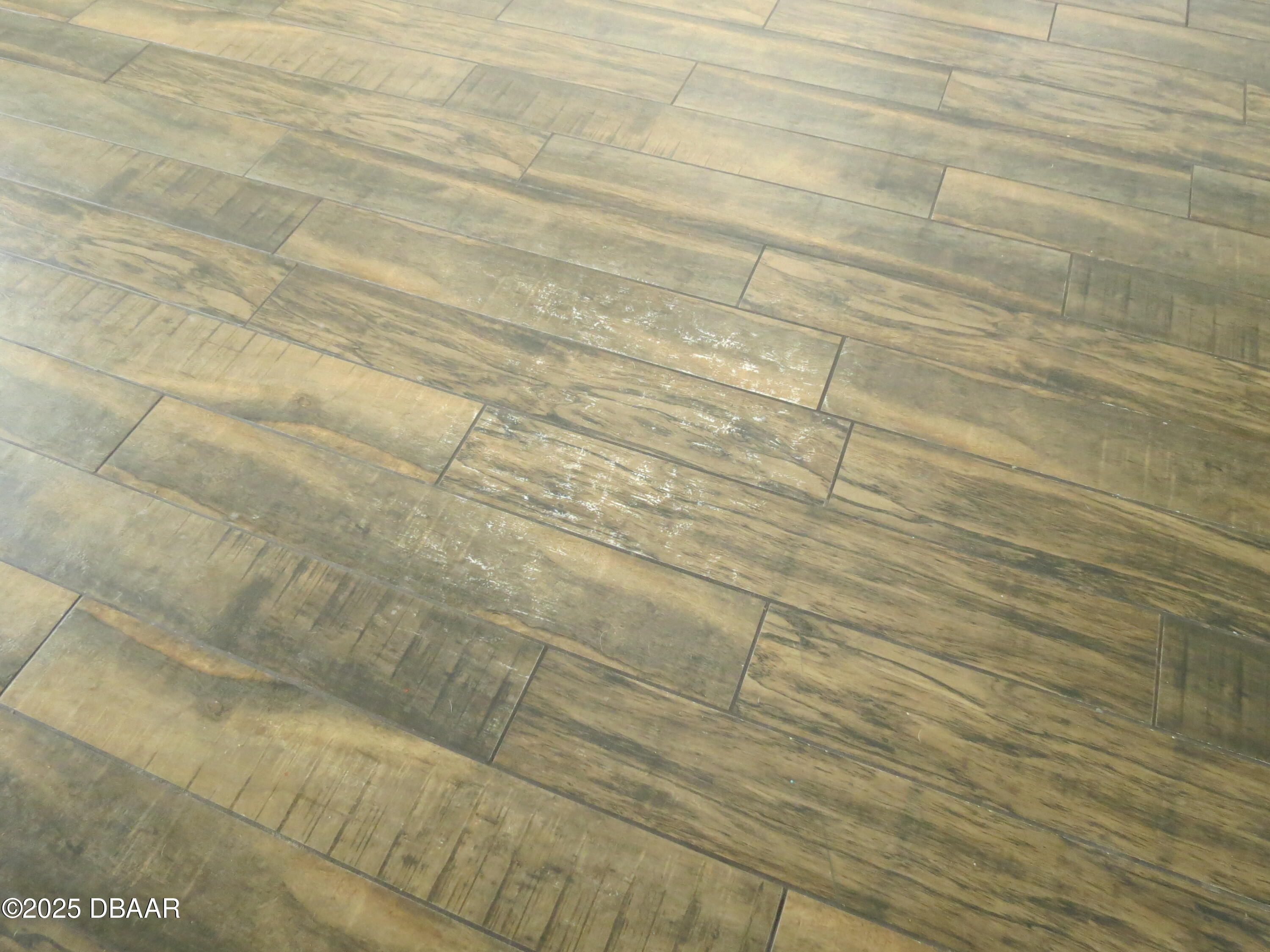 221 Williams Avenue Daytona Beach, FL 32118 - Photo 15 of 15 a bathroom with a shower