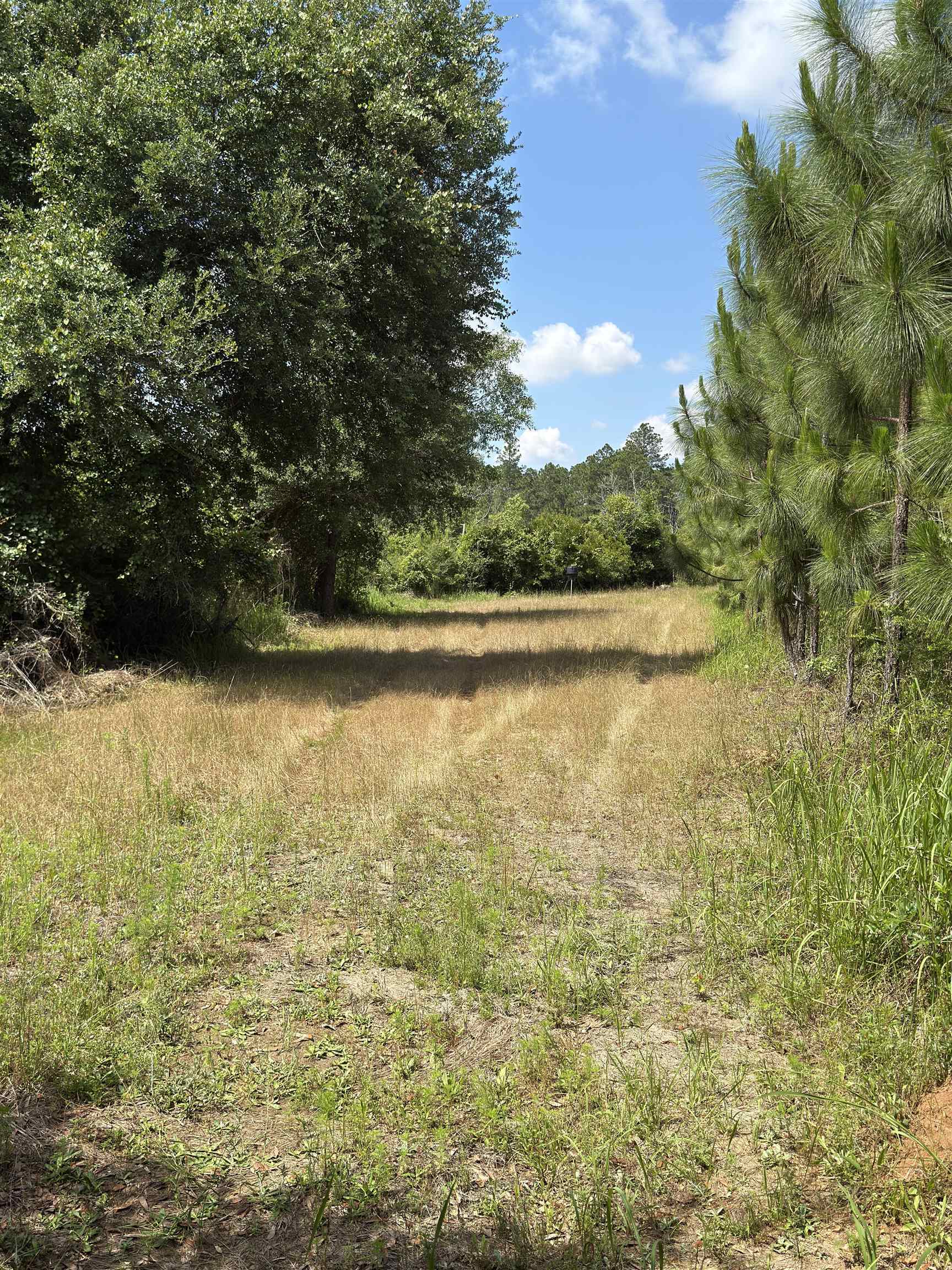 87 County Road 87 Elberta, AL 36530 - Photo 58 of 66