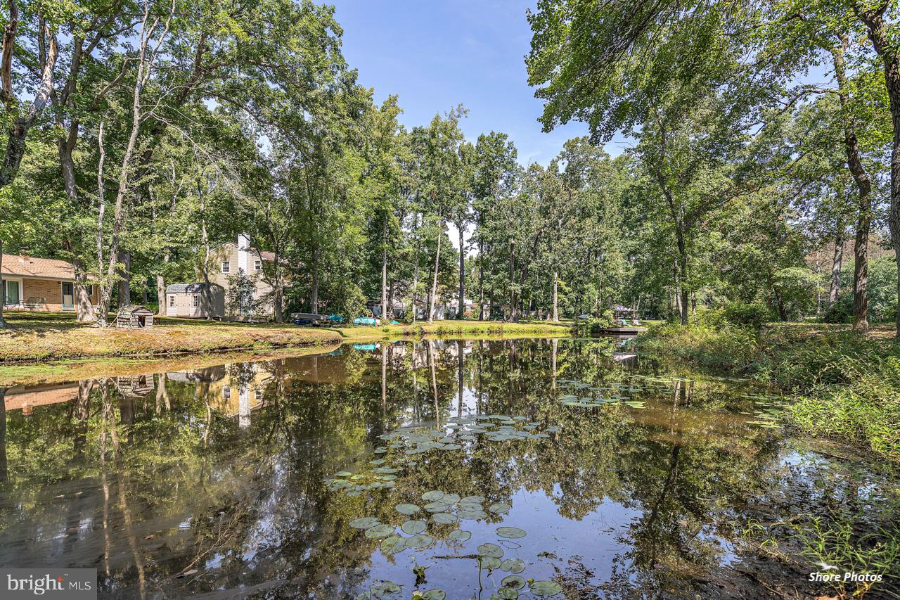 3 Cedar Trail Medford, NJ 08055 - Photo 28 of 32