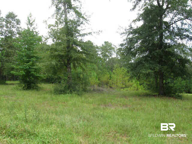 8645 Patricks Ldg Road Bay Minette, AL 36507 - Photo 1 of 1