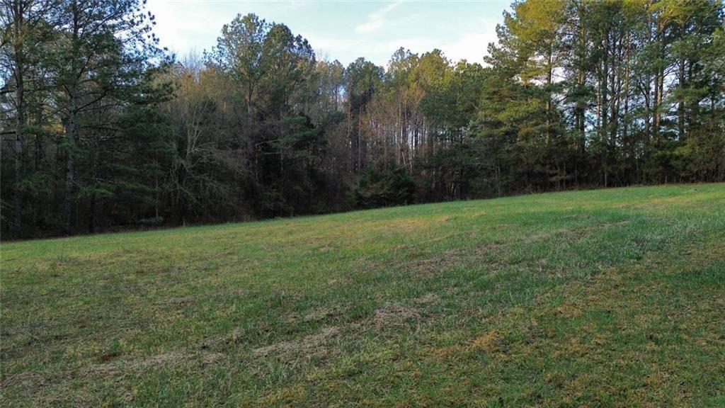8165 Highway 81 Bethlehem, GA 30620 - Photo 7 of 17