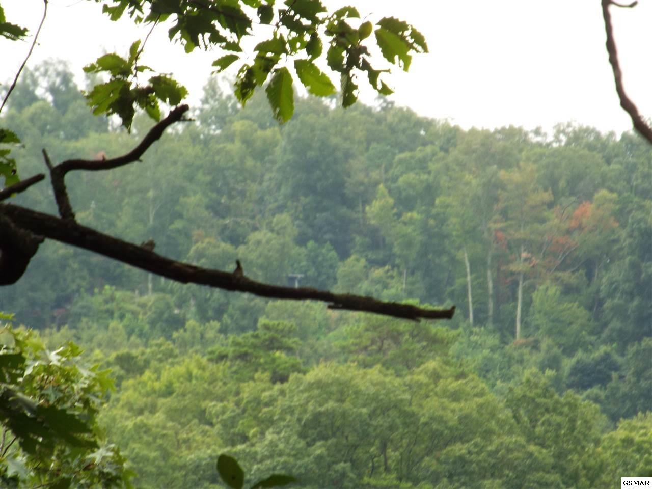 0 Huskey Grove Road Sevierville, TN 37876 - Photo 9 of 11
