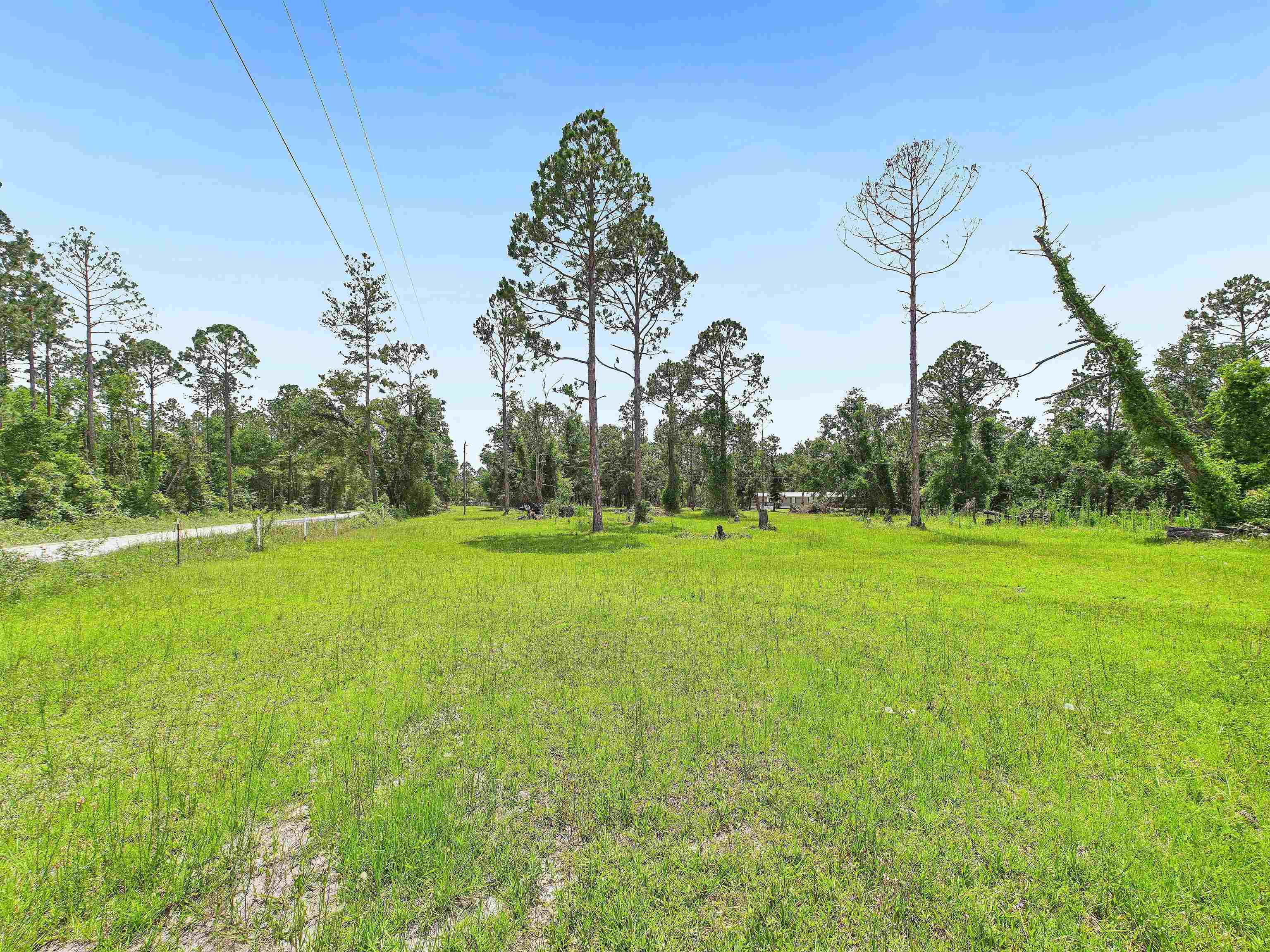 0 Beach Road Perry, FL 32348 - Photo 6 of 15 Gallery Image 6