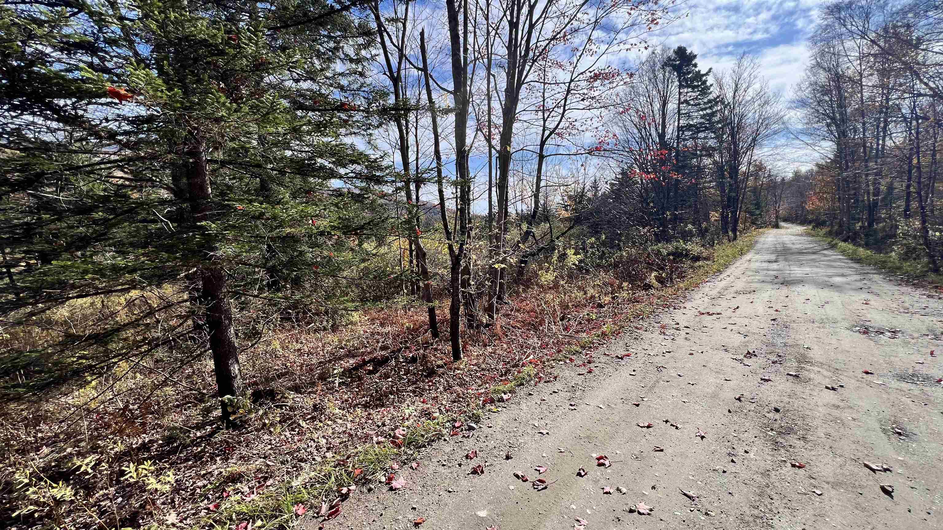 2075 Codding Hollow Road Johnson, VT 05656 - Photo 49 of 54