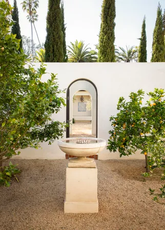 a view of a garden with a tree