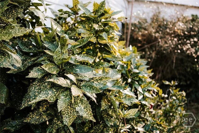 $750,000 | 119 Ralph Bridges Road, Lexington, GA 30648