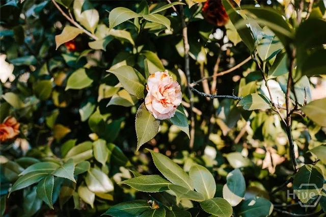 $750,000 | 119 Ralph Bridges Road, Lexington, GA 30648