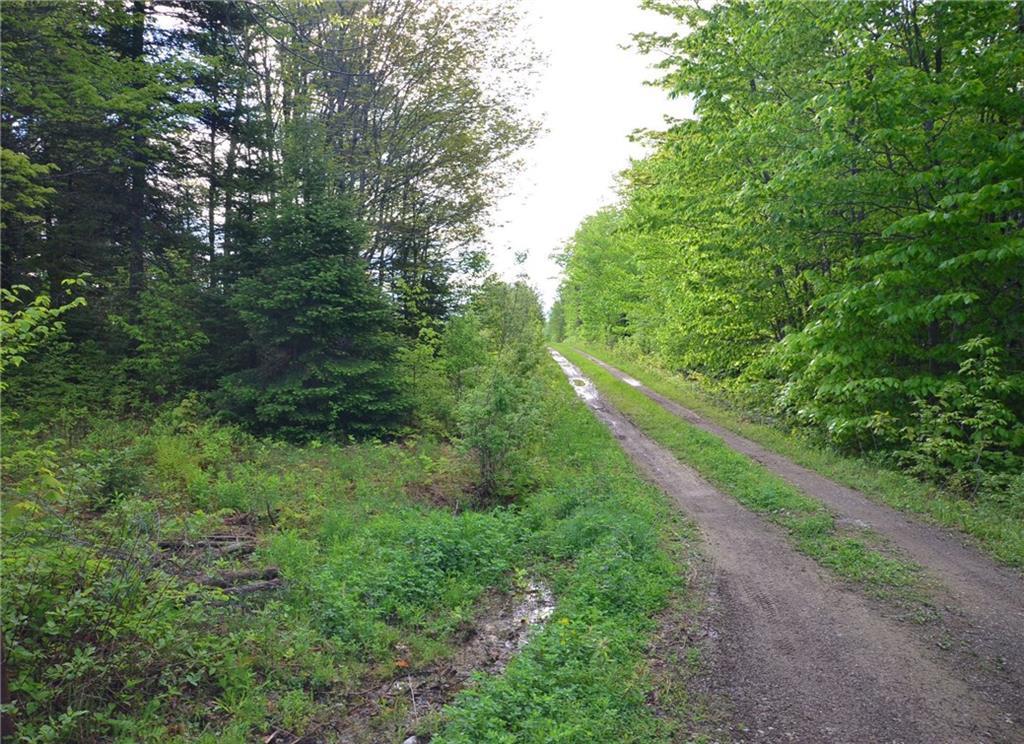 0 Graham Road Smyrna Mills, ME 04780 - Photo 3 of 14 Maine Land for Sale
