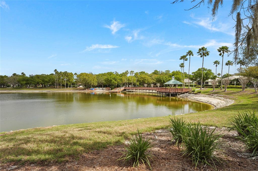 6582 Waters Edge Way Lakewood Ranch, FL 34202 - Photo 80 of 98 a view of a lake with houses in the back