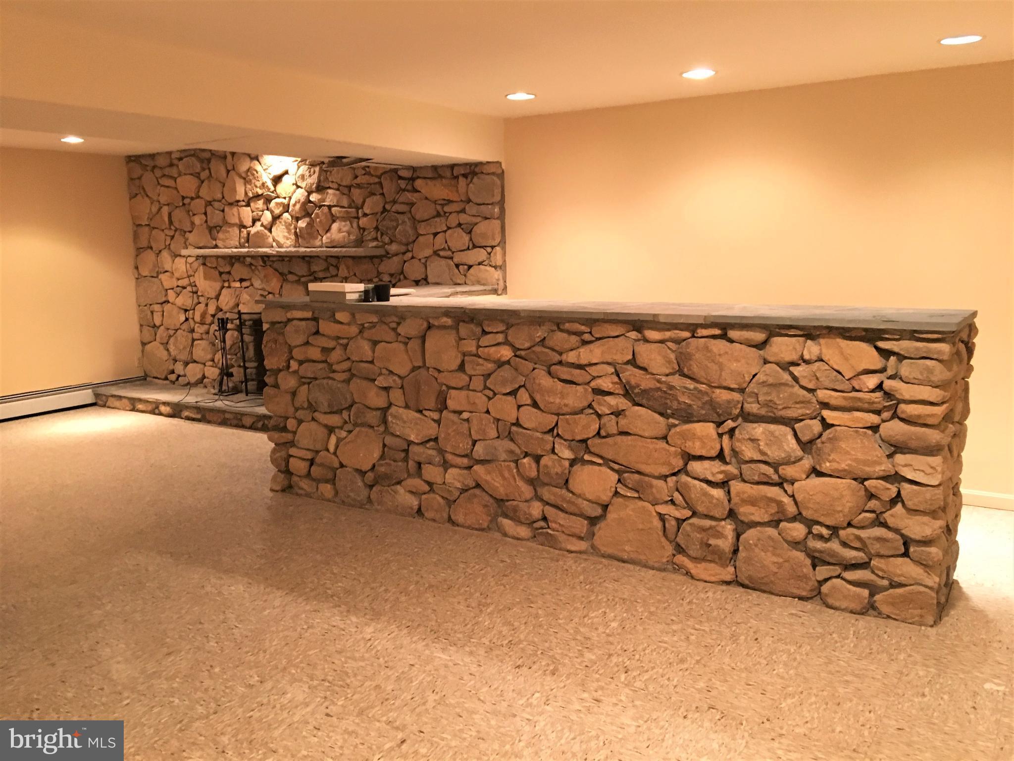14108 Schaeffer Road Germantown, MD 20874 - Photo 22 of 30 Rec Room Bar
