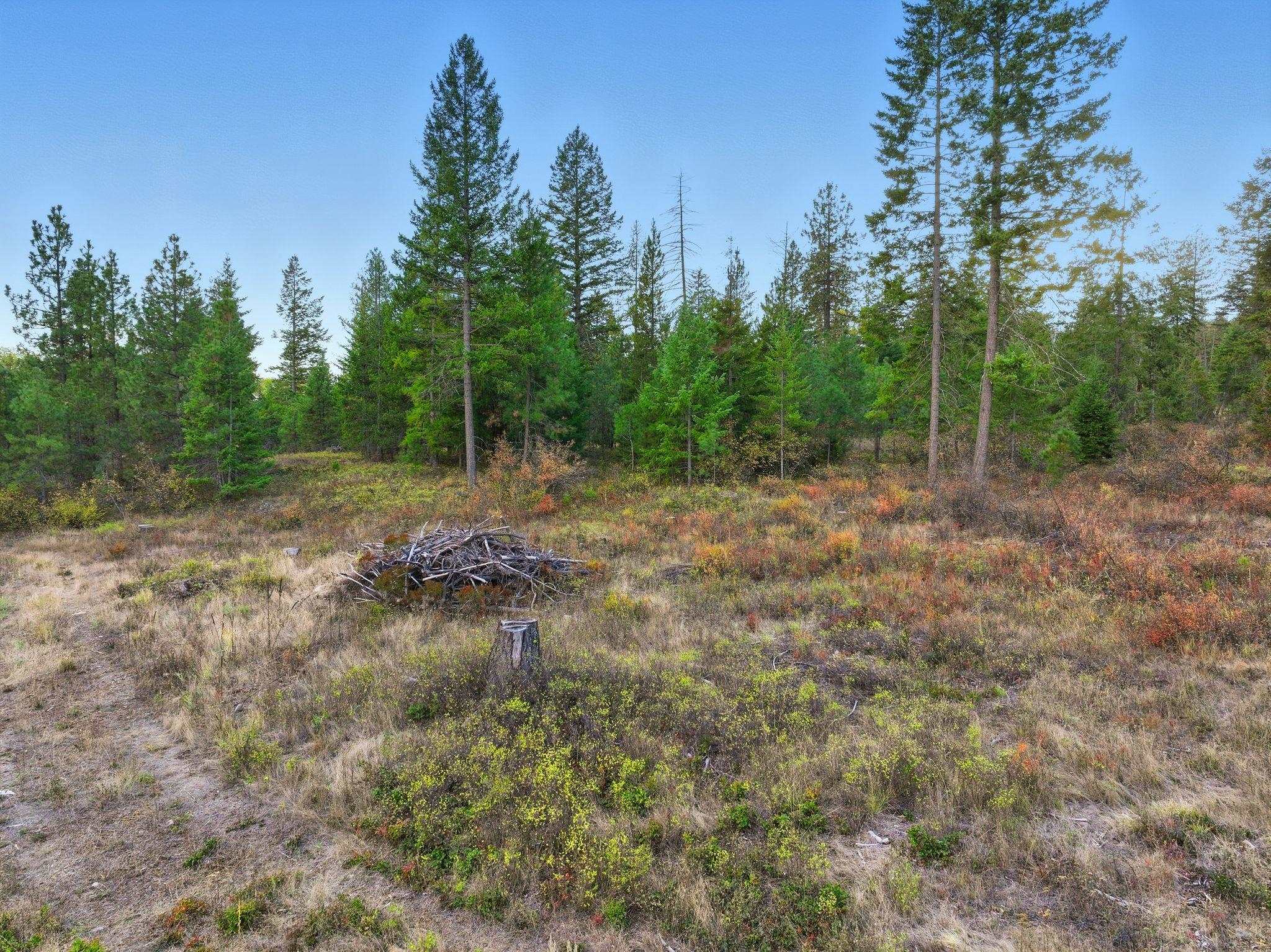 4710 B Price Road Clayton, WA 99110 - Photo 37 of 39 Gallery Image 37