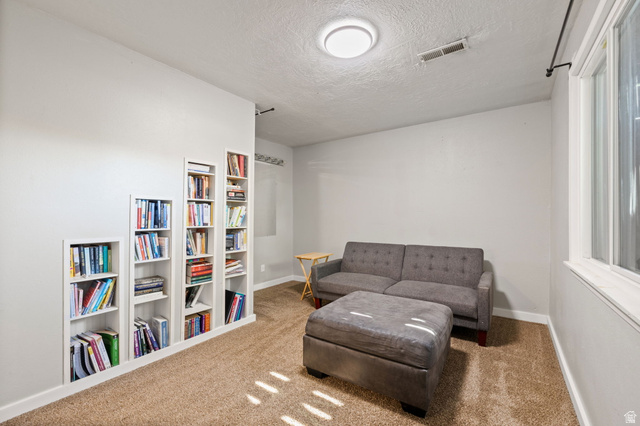 594 850 West Provo, UT 84601 - Photo 28 of 33 Built-in shelving units in varying heights provide integrated storage