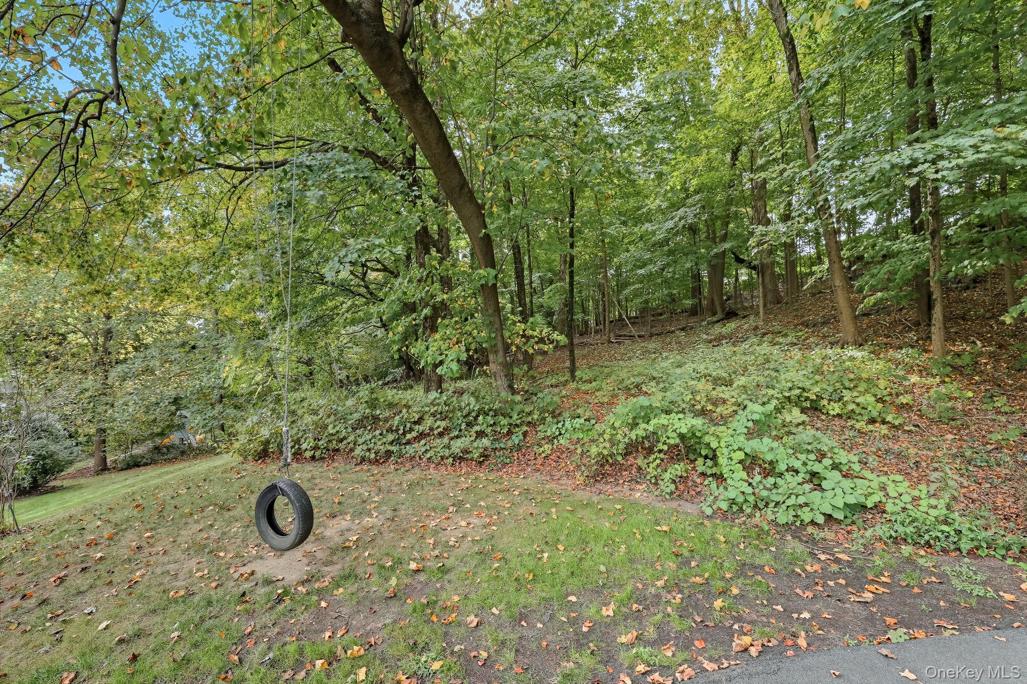 37 Tulip Road Briarcliff Manor, NY 10510 - Photo 19 of 27 a view of a forest with bath tub