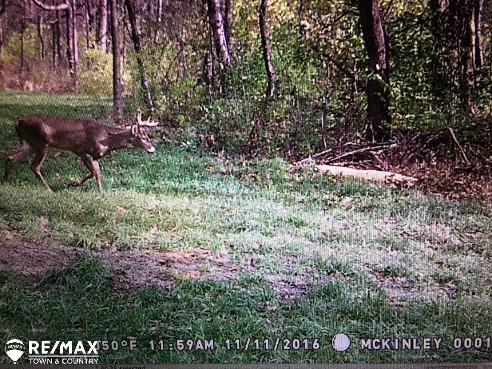 Vl North McKinley Road Flushing, MI 48433 - Photo 8 of 8