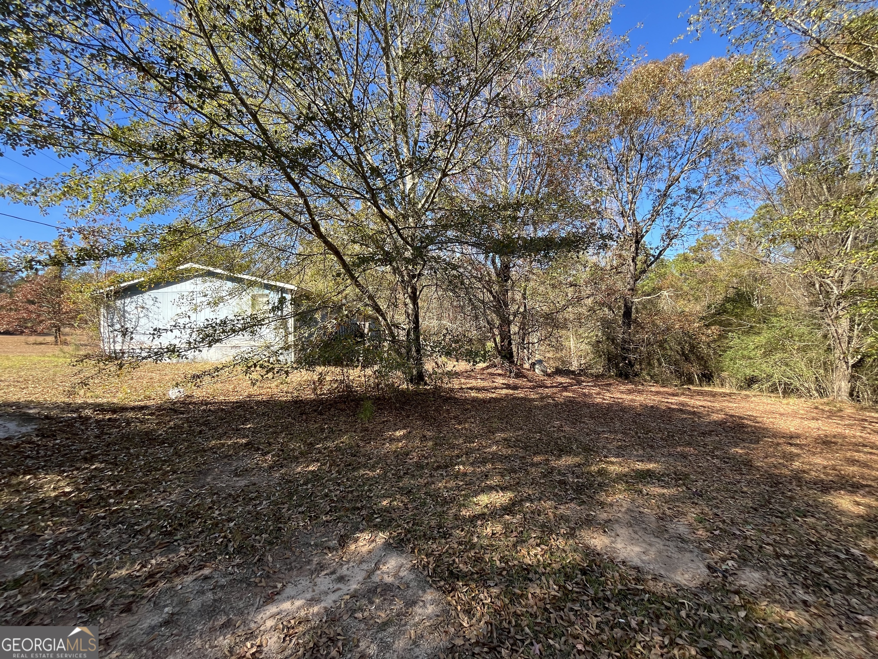 6330 Riggins Mill Road Dry Branch, GA 31020 - Photo 50 of 108 a view of a yard with a tree