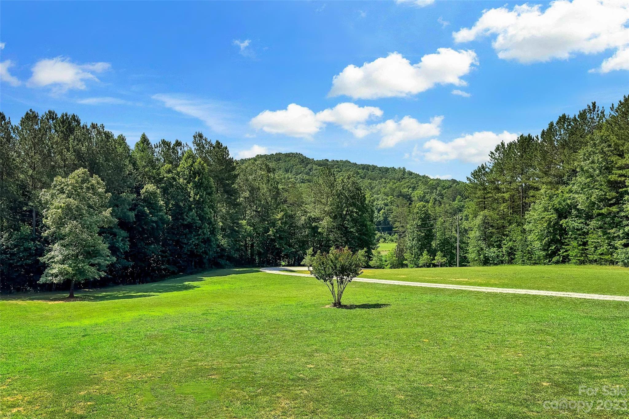 336 Tight Run Road Marion, NC 28752 - Photo 39 of 48 Gallery Image 39