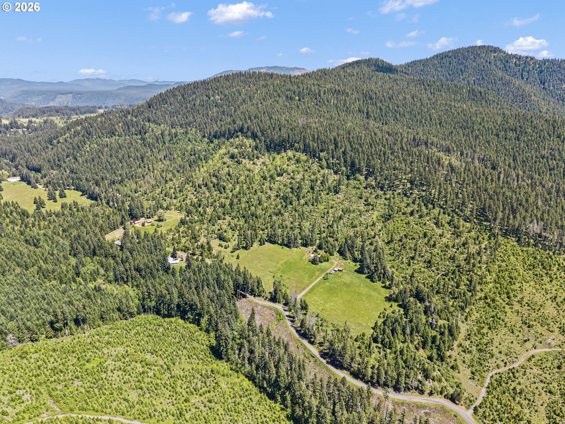 77521 Brock Road Oakridge, OR 97463 - Photo 38 of 48 a view of a yard