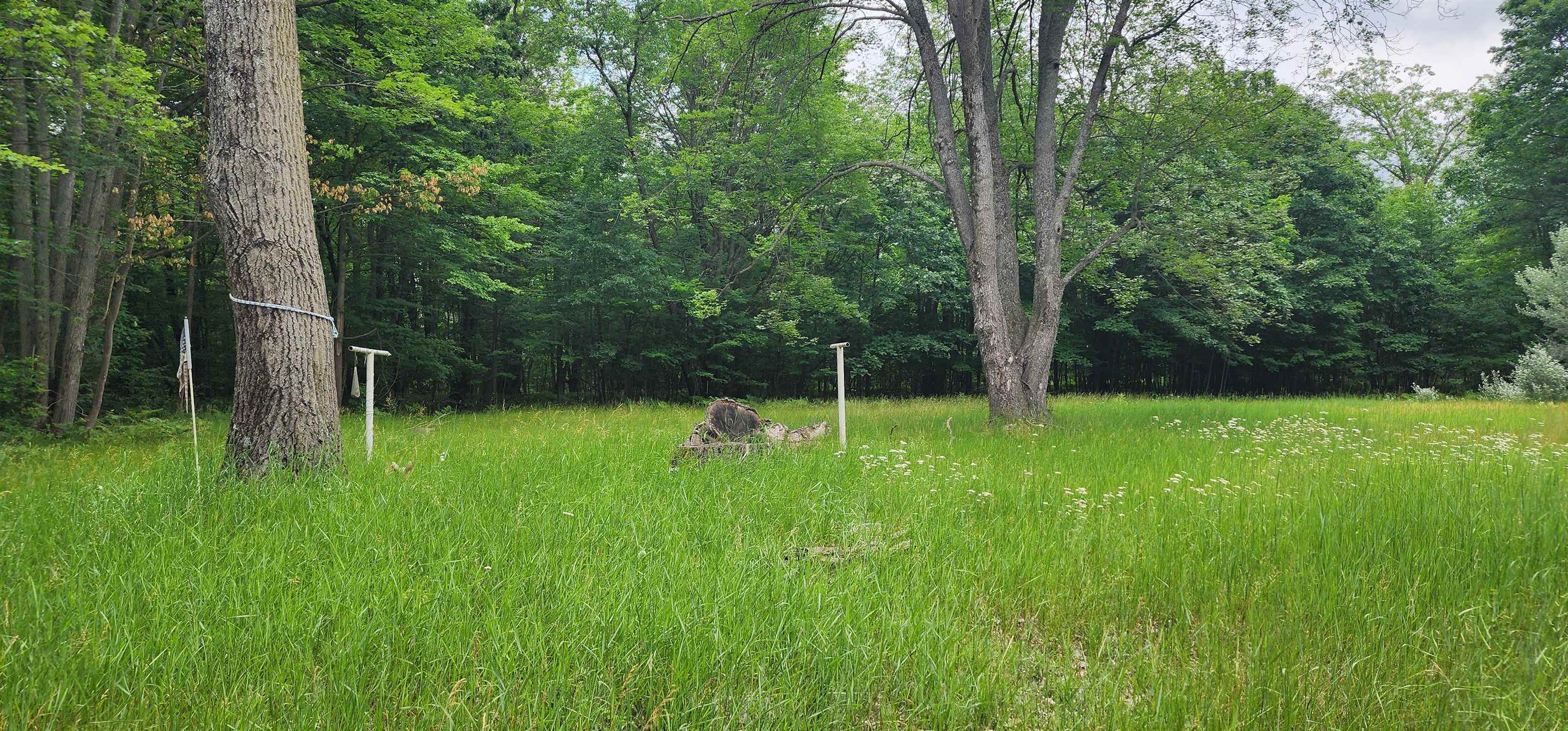 2525 Seeley Road Cadillac, MI 49601 - Photo 13 of 26