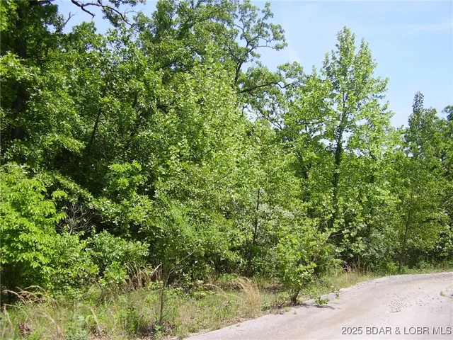 $20,000 | 20 Silver Spur Court, Camdenton, MO 65020