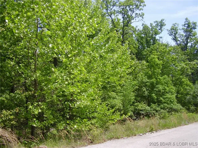 $20,000 | 20 Silver Spur Court, Camdenton, MO 65020