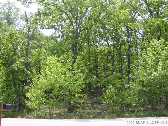 $20,000 | 20 Silver Spur Court, Camdenton, MO 65020