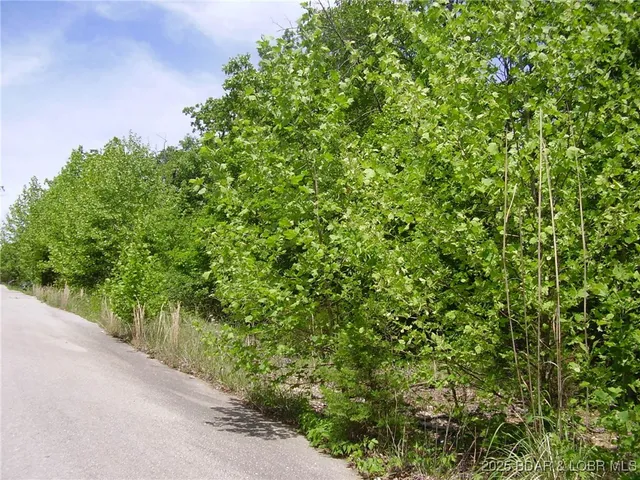 $20,000 | 20 Silver Spur Court, Camdenton, MO 65020