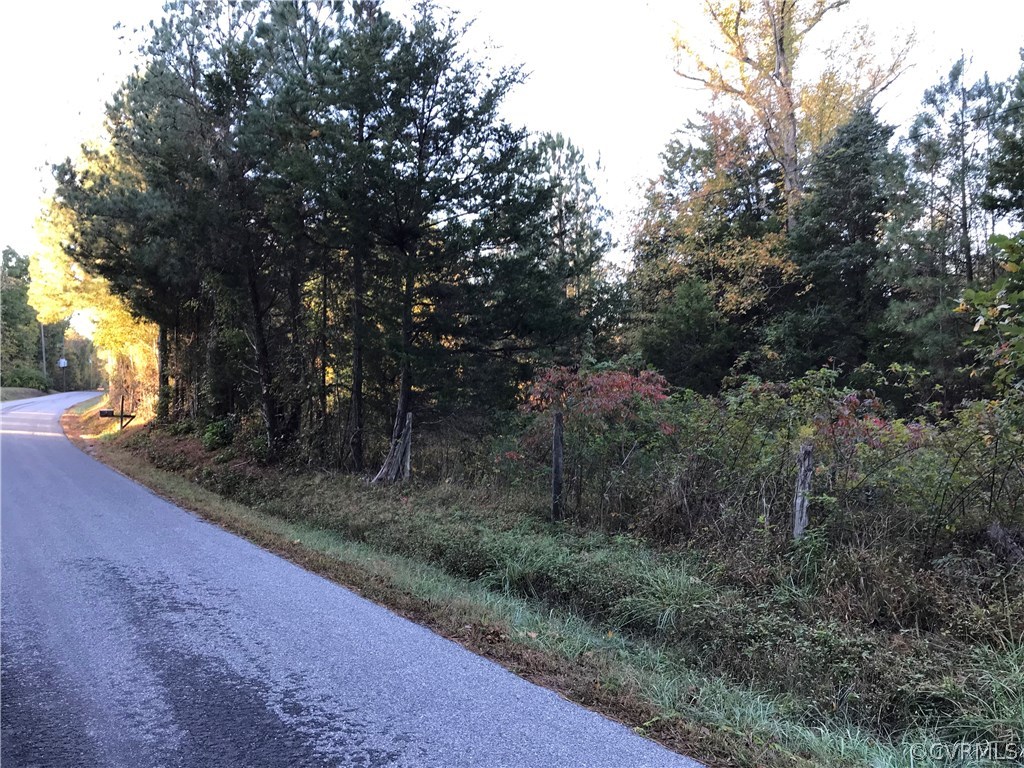 0 Snead Spring Road Crewe, VA 23930 - Photo 3 of 4 a view of a yard with trees