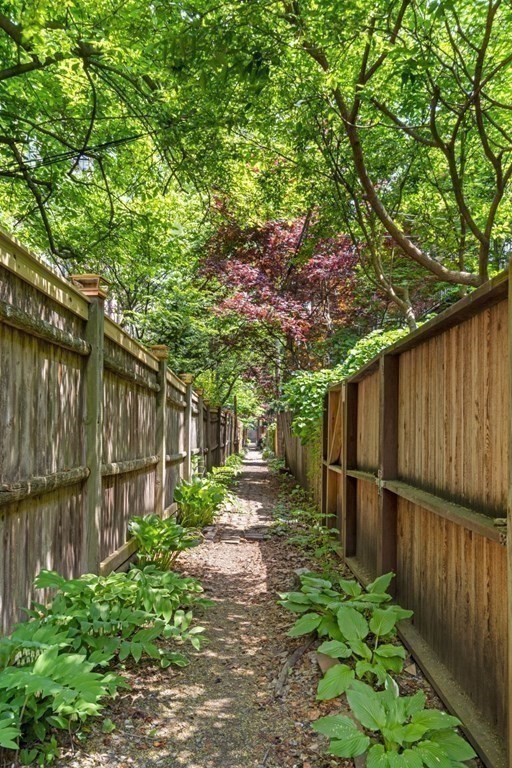 97 Appleton Street Boston, MA 02116 - Photo 4 of 20 Gallery Image 4