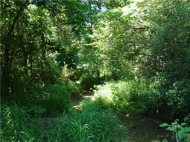 2585 County Road Ashley, OH 43003 - Photo 3 of 8