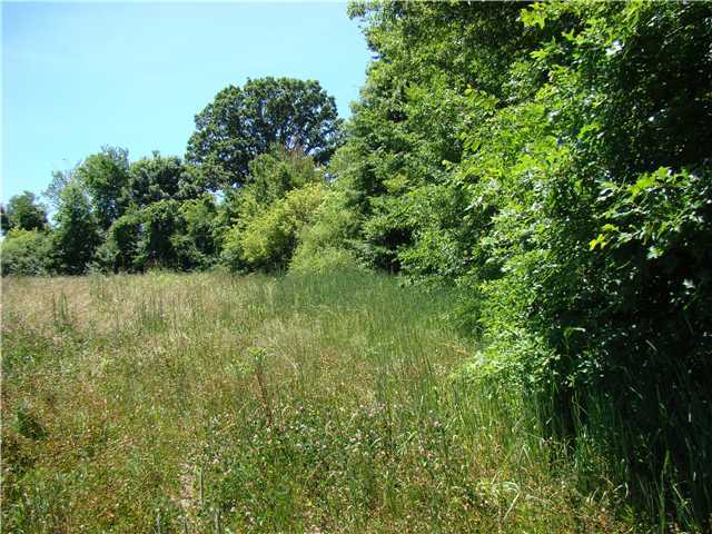 2585 County Road Ashley, OH 43003 - Photo 5 of 8