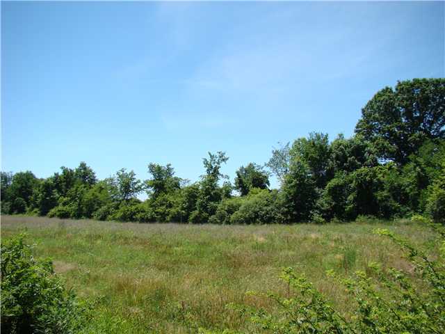 2585 County Road Ashley, OH 43003 - Photo 6 of 8