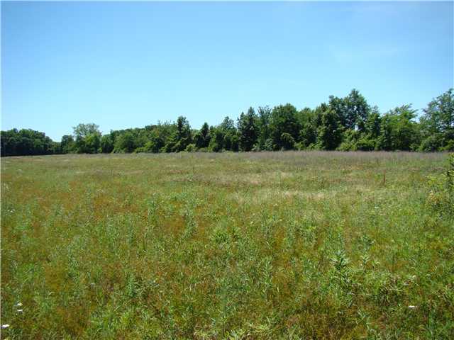 2585 County Road Ashley, OH 43003 - Photo 7 of 8
