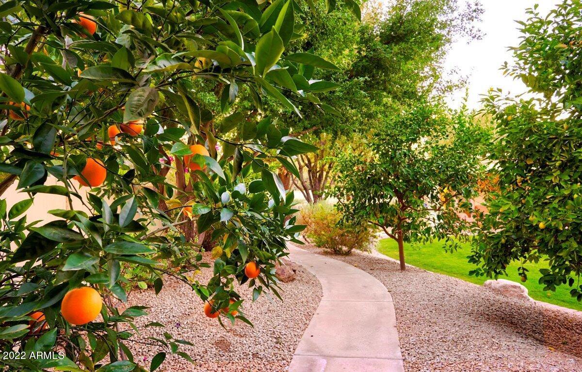 6601 East Stallion Road Paradise Valley, AZ 85253 - Photo 39 of 46 Walking Path
