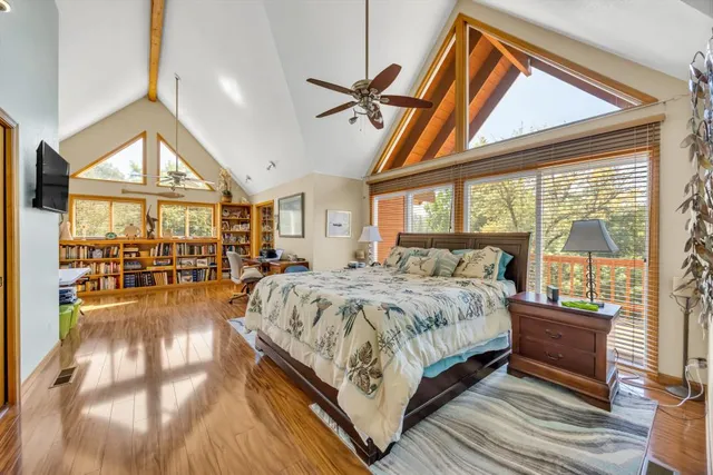 a view of a yard with plants and large trees