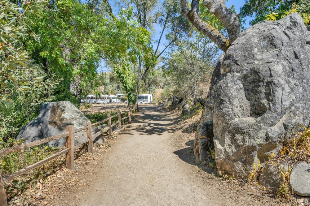 6400 State Highway Lotus, CA 95651 - Photo 73 of 95 a view of a yard with wooden fence