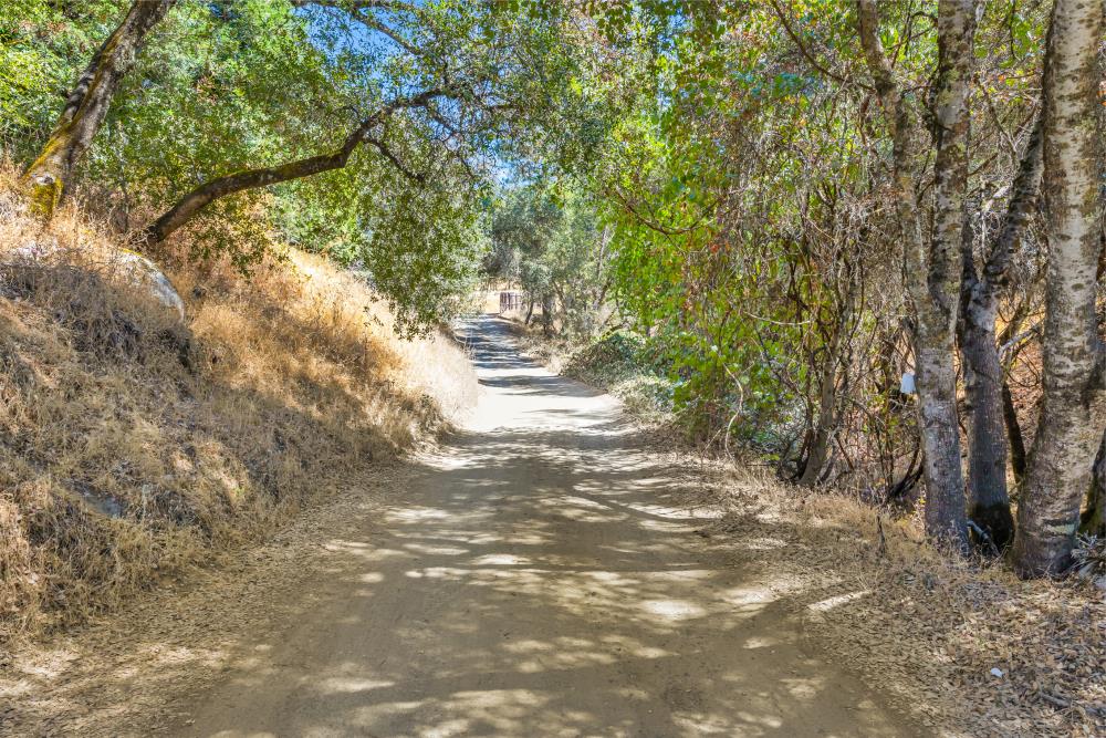 6400 State Highway Lotus, CA 95651 - Photo 88 of 95 a view of a yard with plants and trees