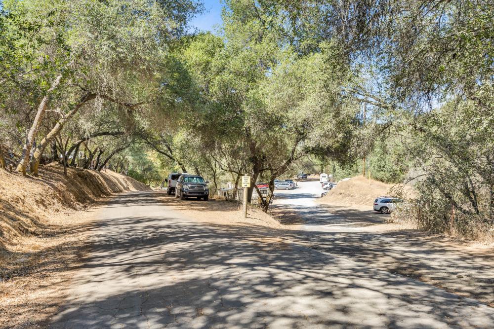 6400 State Highway Lotus, CA 95651 - Photo 89 of 95 a view of a yard with plants and trees