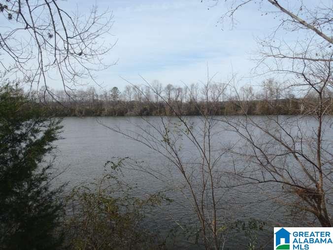 6510 Glovers Ferry Road Alpine, AL 35014 - Photo 5 of 25