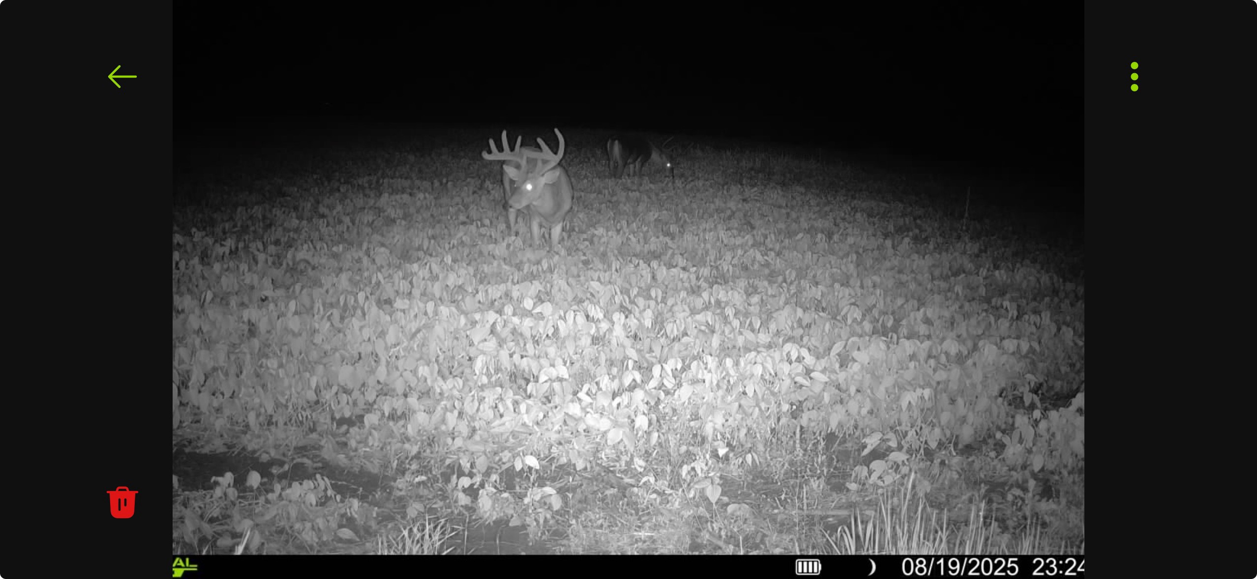 N8771 Fye Road Trego, WI 54888 - Photo 31 of 38
