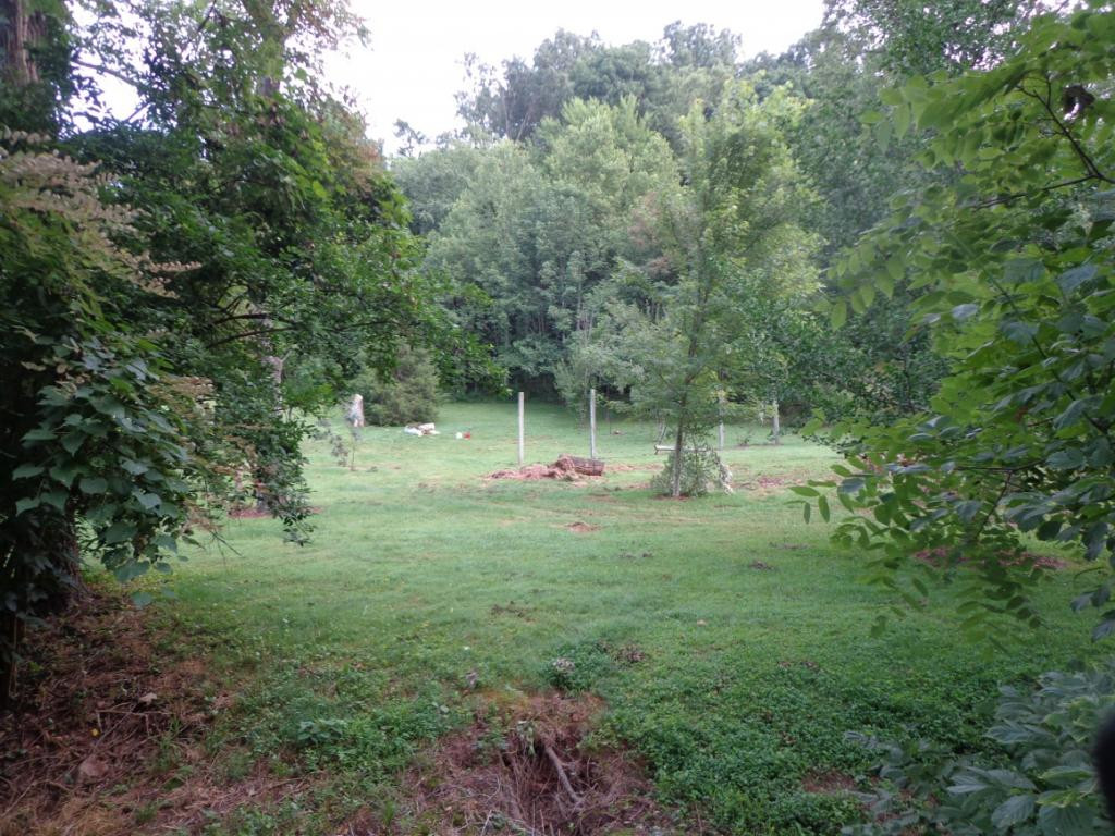 107 Mays Road Elizabethton, TN 37643 - Photo 4 of 5 Photo 4