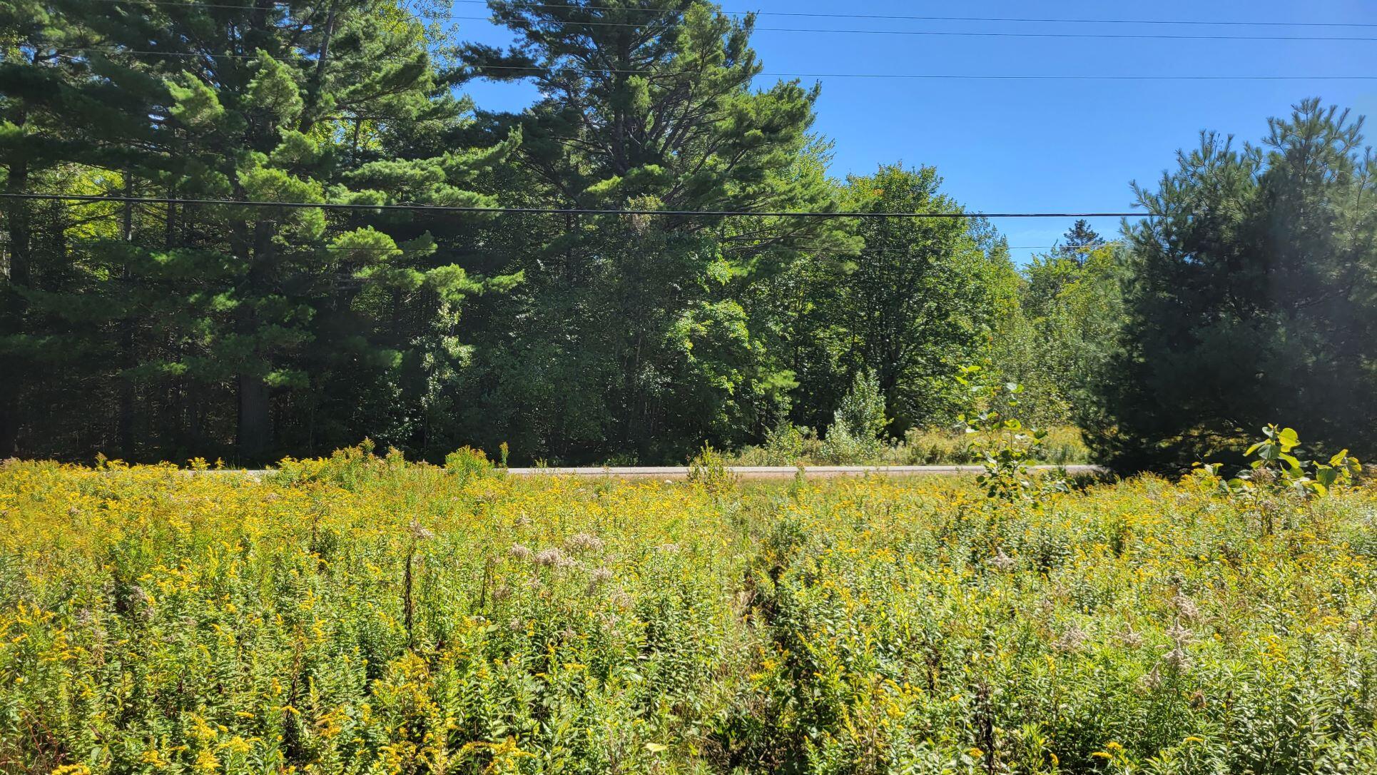 0 Robbinston Ridge Road Pembroke, ME 04666 - Photo 18 of 24 Robbinston Ridge Rd from land
