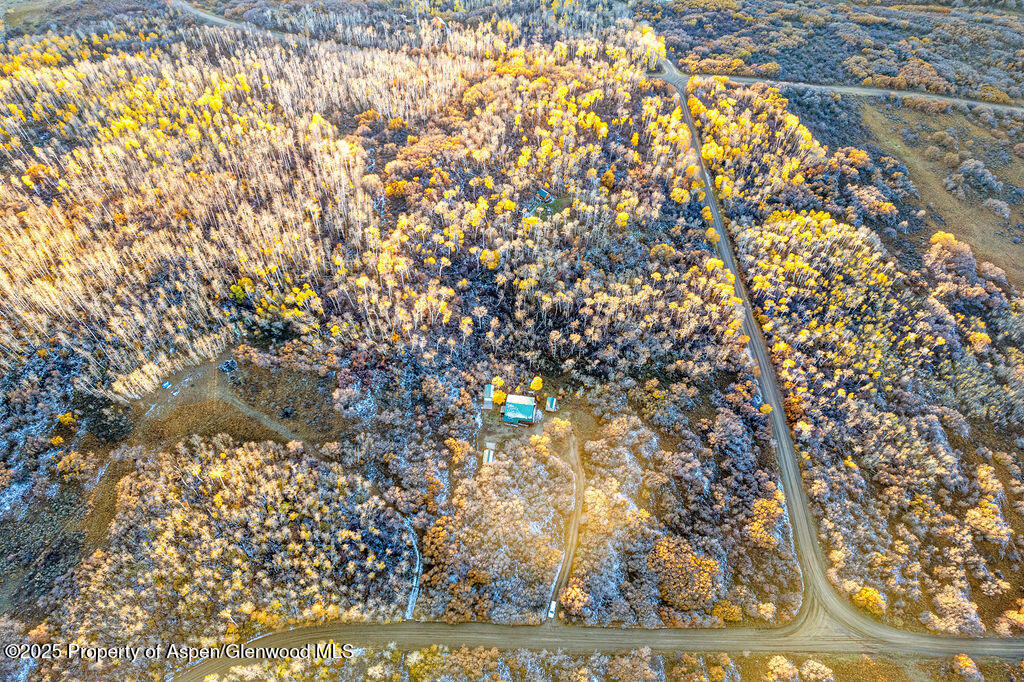 228 Eagle Loop Craig, CO 81625 - Photo 12 of 37 a picture of a tree