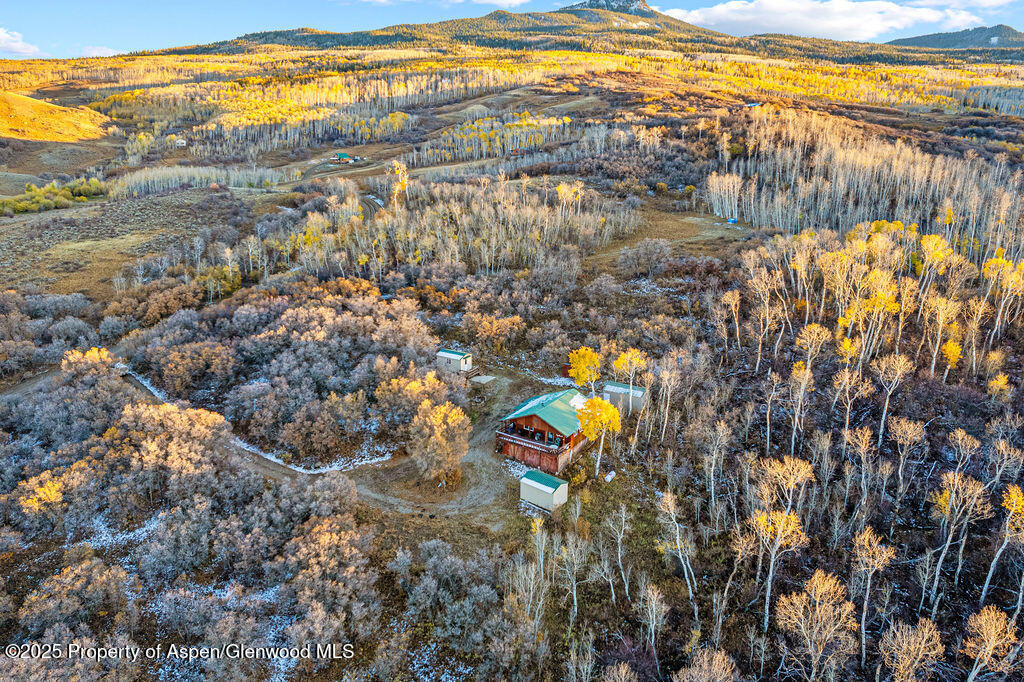 228 Eagle Loop Craig, CO 81625 - Photo 2 of 37 a view of a forest