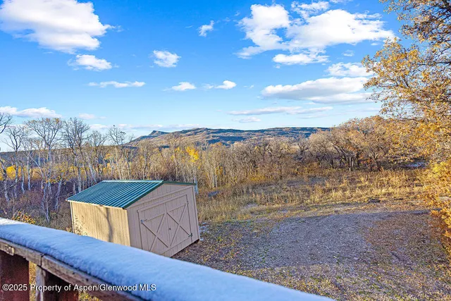 a view of a yard with a tree