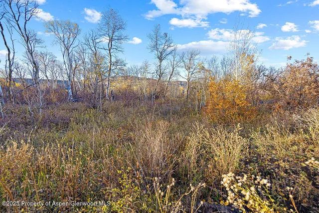 a house view with a backyard space