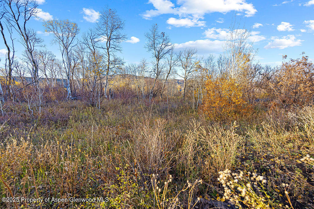 228 Eagle Loop Craig, CO 81625 - Photo 33 of 37 a view of a yard with a tree