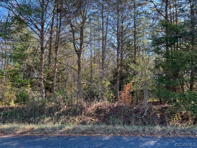 0 Evans Road Powhatan, VA 23139 - Photo 11 of 11 Road View