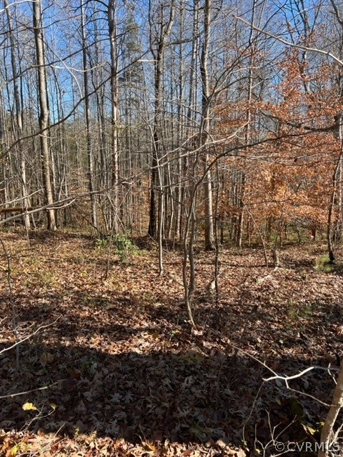 0 Evans Road Powhatan, VA 23139 - Photo 5 of 11 Gallery Image 5