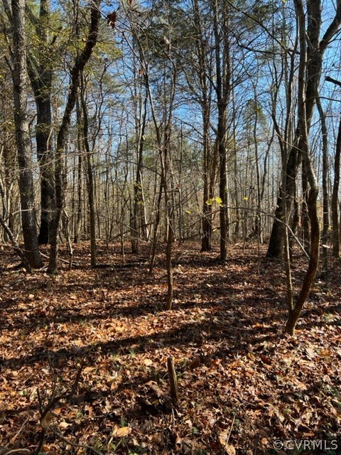 0 Evans Road Powhatan, VA 23139 - Photo 6 of 11 Gallery Image 6